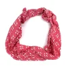 Fucsia geometrica