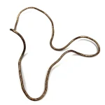 Collana snake