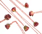 Collana rosa a rosario Corallo Botanic - immagine 4