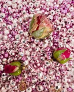 Collana cuor di rosa Botanic Limited edition - immagine 2
